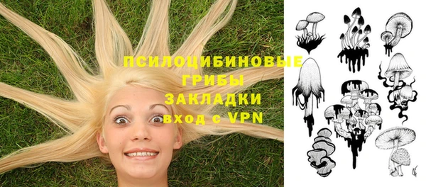 крисы Семикаракорск
