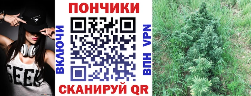 Канабис планчик  Купить закладки  Иннополис 